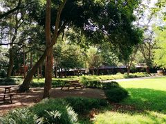 -南宁良凤江国家森林公园