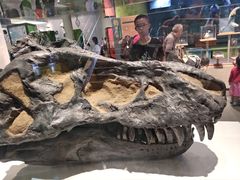 -香港科学馆