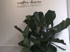 -red donkey coffee