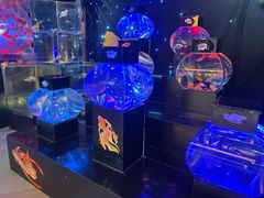 -海合安青岛极地海洋公园