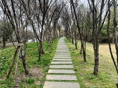 -西溪国家湿地公园