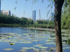 -艾溪湖湿地公园
