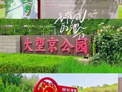 -大望京公园