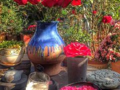 iphone_upload_pic-雅米拉艺术中心(少儿舞蹈培训)