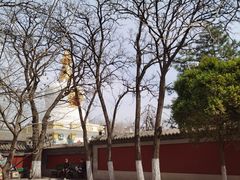 -护国法轮寺