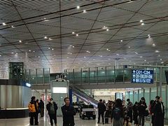 -稻香村(首都国际机场3号航站楼店)