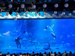 -烟台海昌鲸鲨海洋公园