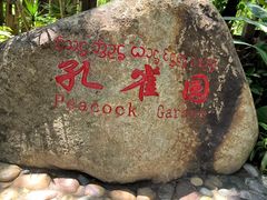 -西双版纳傣族园