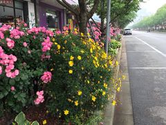 -永乐路-路侧停车场