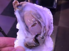 -千岛蚝高压锅生蚝·人参火锅(白云万达店)