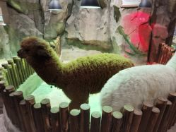 -宝燕乐园(闵行旗舰店)