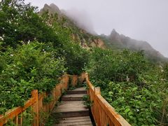 -白草畔自然风景区