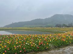 -径山花海