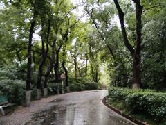 -北极阁公园