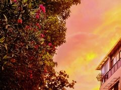 -浦江镇(地铁站)