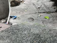 -晓港公园