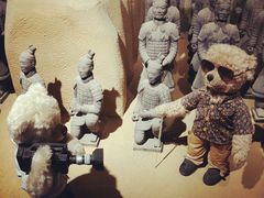 -成都泰迪熊博物馆