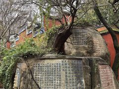 -乌山风景区