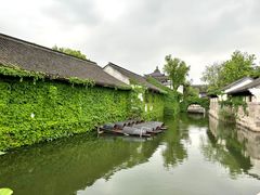 -鲁镇