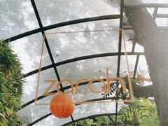 -zarah(鼓楼店)