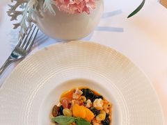 -蝶舍·MAISON PAPILLON