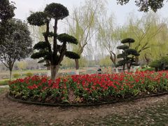 -堤角公园