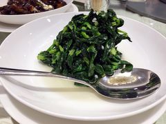 清炒豆苗-南山鲜虾面·活鲜小馆·海味大连菜(南山总店)