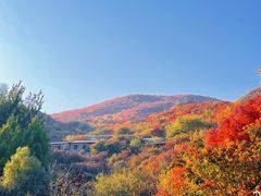 -周口店坡峰岭风景区