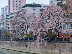 -红星桥(地铁站)