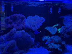 -海合安武汉极地海洋公园