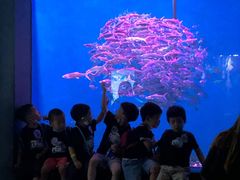 -成都浩海立方海洋公园