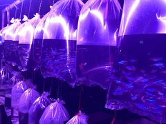 -华声天桥民俗文化园