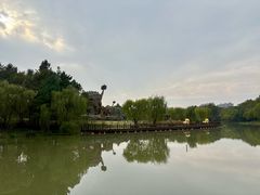 -自然谷恐龙园