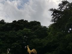-海口火山口国家地质公园
