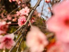 -浙江农林大学(东湖校区)