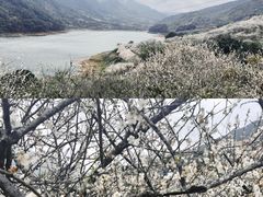 -广州市流溪河国家森林公园
