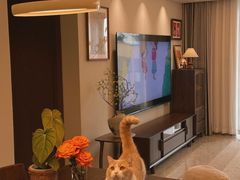 -住范儿家装·整体家装·装修设计