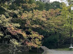-江心屿景区