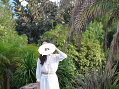 -世界恐龙谷景区