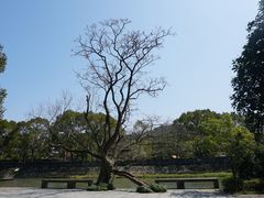 -兰亭风景区