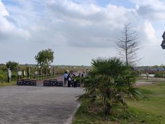 -盐城丹顶鹤湿地生态旅游区