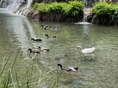-沕沕水生态风景区