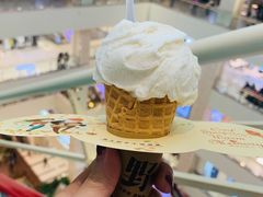 -野人先生现做冰淇淋(西安赛格店)