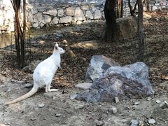 -洛阳马蹄泉旅游度假村