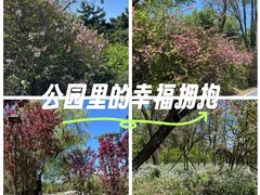 -万泉公园