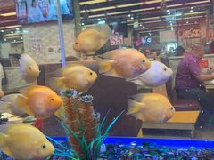 -新辉港式茶餐厅(北栅店)