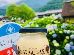 -白川乡与五箇山的合掌构造村落