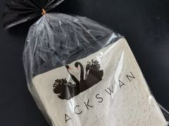 -BLACKSWAN黑天鹅(环球店)