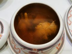-稻香酒家·34年老字号·港式粤菜(侨光店)