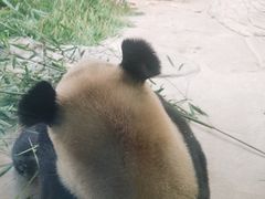 -杭州野生动物世界